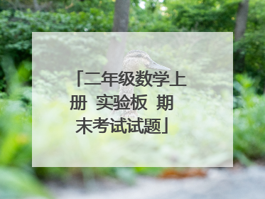二年级数学上册 实验板 期末考试试题
