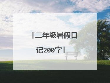 二年级暑假日记200字