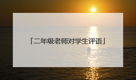 二年级老师对学生评语