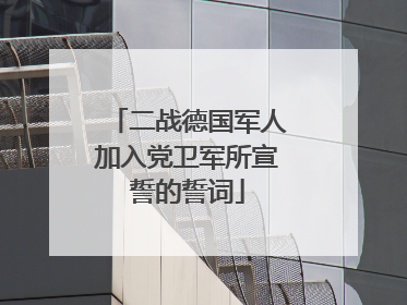 二战德国军人加入党卫军所宣誓的誓词