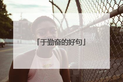 于勤奋的好句