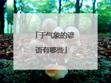 于气象的谚语有哪些