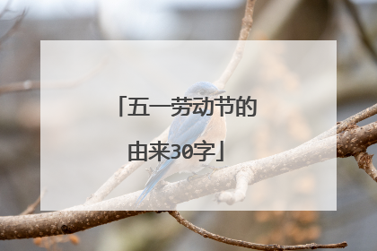 五一劳动节的由来30字