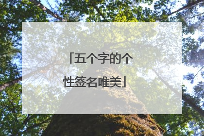 五个字的个性签名唯美