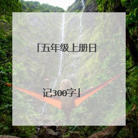 五年级上册日记300字