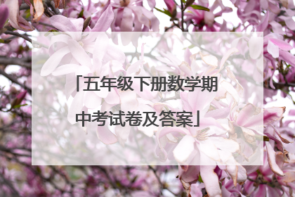 五年级下册数学期中考试卷及答案