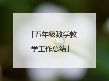 五年级数学教学工作总结