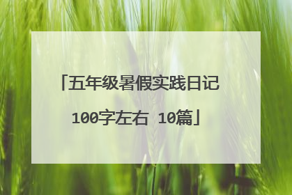 五年级暑假实践日记 100字左右 10篇