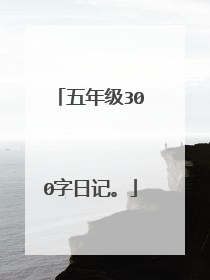 五年级300字日记。