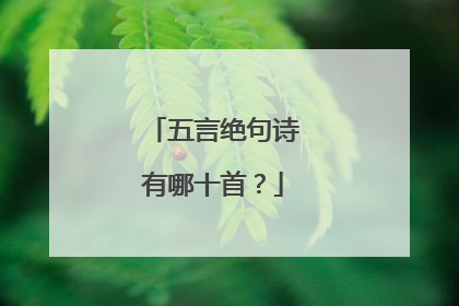 五言绝句诗有哪十首？