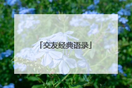 交友经典语录