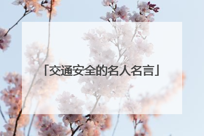 交通安全的名人名言