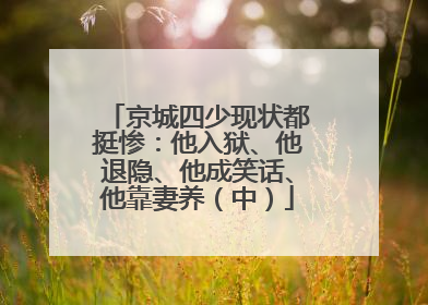 京城四少现状都挺惨：他入狱、他退隐、他成笑话、他靠妻养（中）
