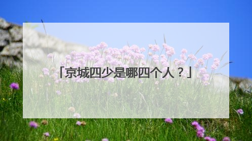 京城四少是哪四个人？