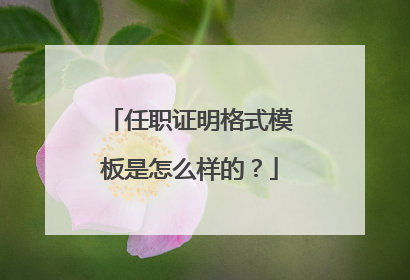 任职证明格式模板是怎么样的？