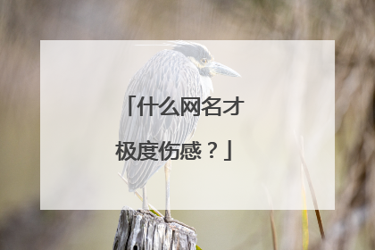 什么网名才极度伤感?