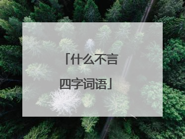 什么不言四字词语