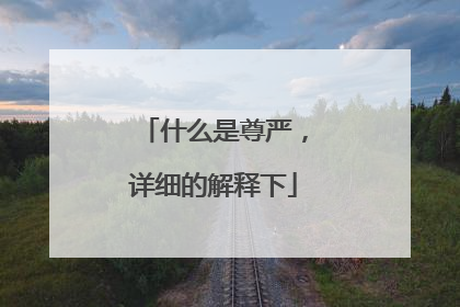 什么是尊严,详细的解释下