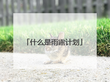 什么是雨露计划