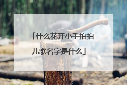 什么花开小手拍拍儿歌名字是什么