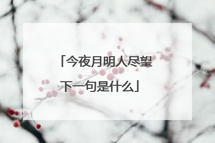 今夜月明人尽望下一句是什么