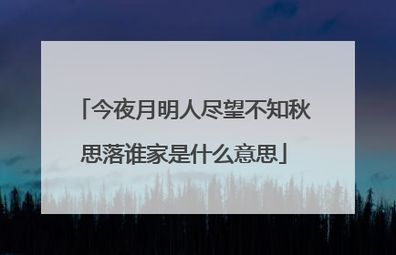今夜月明人尽望不知秋思落谁家是什么意思
