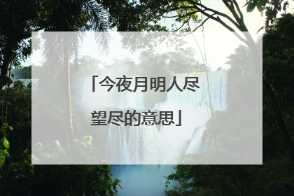 今夜月明人尽望尽的意思