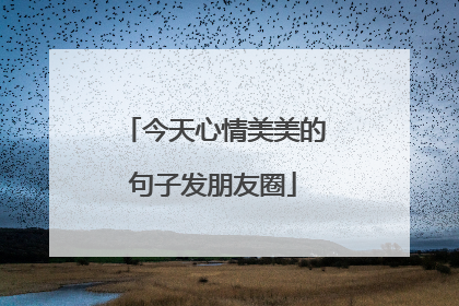 今天心情美美的句子发朋友圈