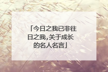 今日之我已非往日之我,关于成长的名人名言
