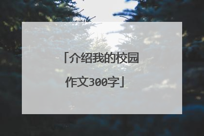 介绍我的校园作文300字