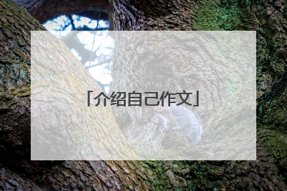 介绍自己作文