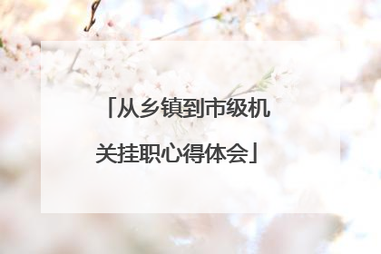 从乡镇到市级机关挂职心得体会