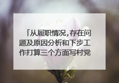 从履职情况,存在问题及原因分析和下步工作打算三个方面写村党建工作述职报告