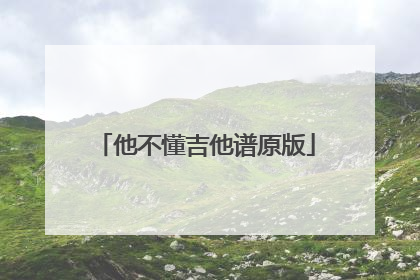 他不懂吉他谱原版