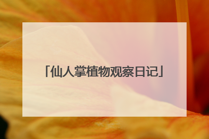 仙人掌植物观察日记