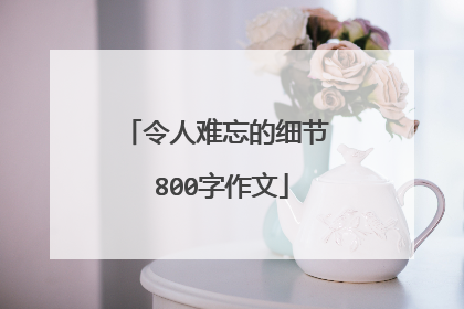 令人难忘的细节 800字作文