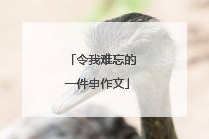 令我难忘的一件事作文