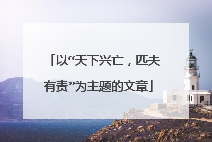 以“天下兴亡,匹夫有责”为主题的文章