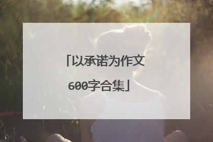 以承诺为作文600字合集