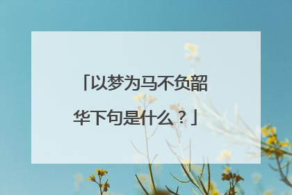 以梦为马不负韶华下句是什么？