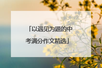 以遇见为题的中考满分作文精选