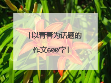 以青春为话题的作文600字
