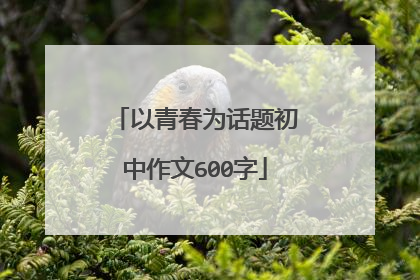 以青春为话题初中作文600字