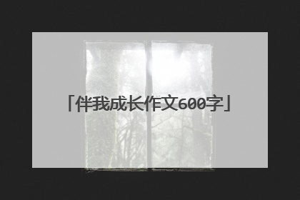 伴我成长作文600字