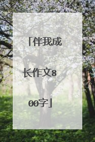 伴我成长作文800字