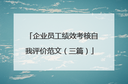 企业员工绩效考核自我评价范文(三篇)