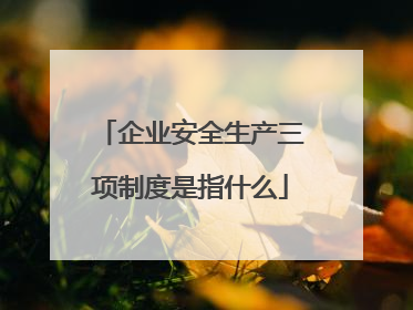 企业安全生产三项制度是指什么
