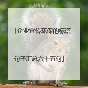 企业宣传环保的标语句子汇总六十五句