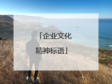 企业文化精神标语