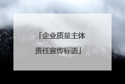 企业质量主体责任宣传标语